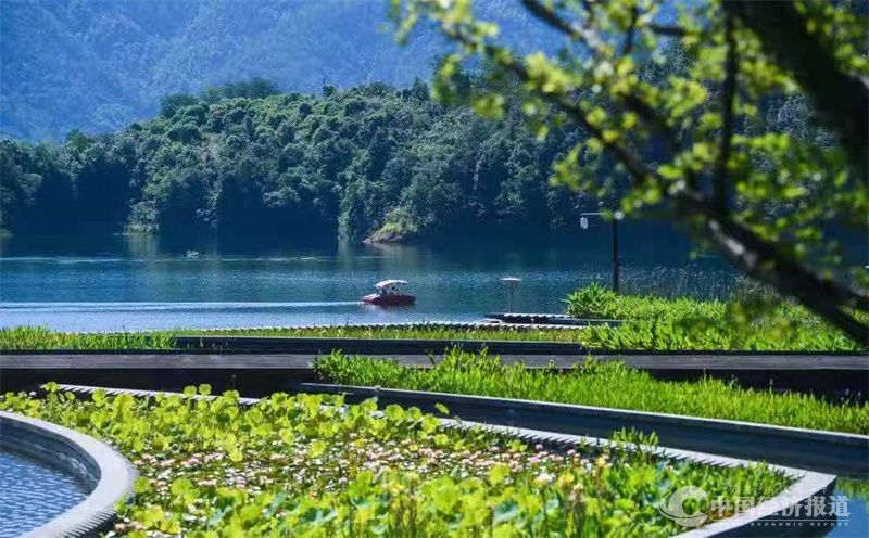 浙江省淳安县千岛湖的沿湖景观带（新华社记者徐昊摄）.jpg