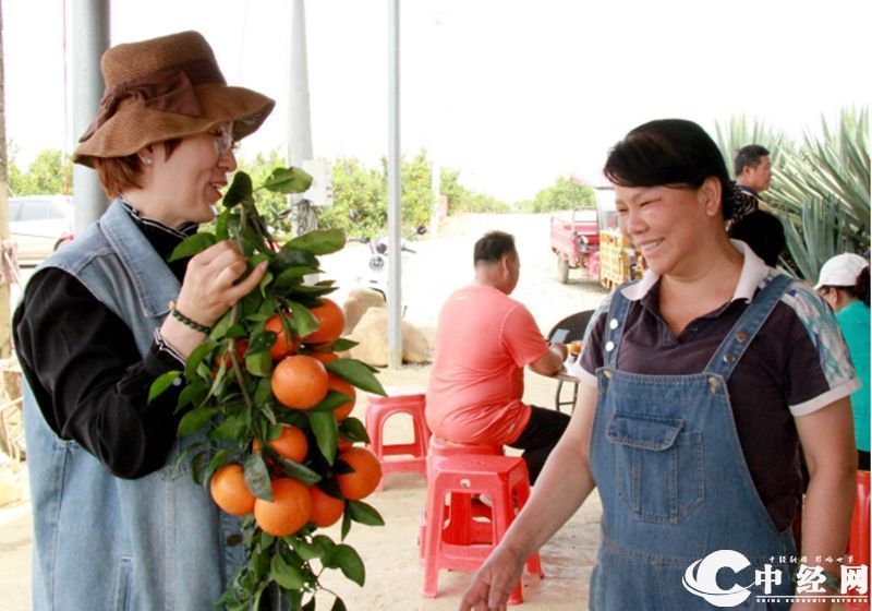 14果园主梁姐向中经记者分享沃柑丰收的喜悦.jpg