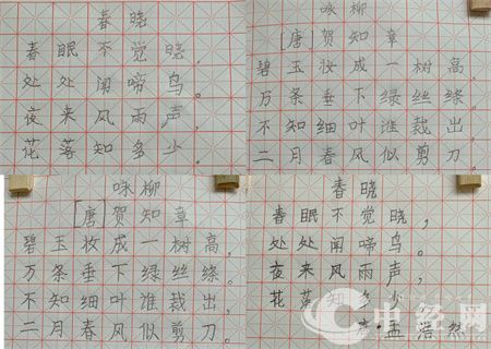 图片7.jpg
