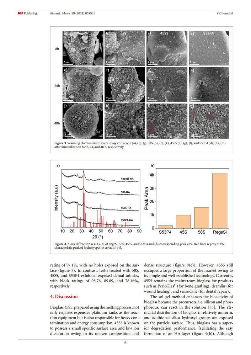 幸福益生RegeSi-SCI_05.jpg