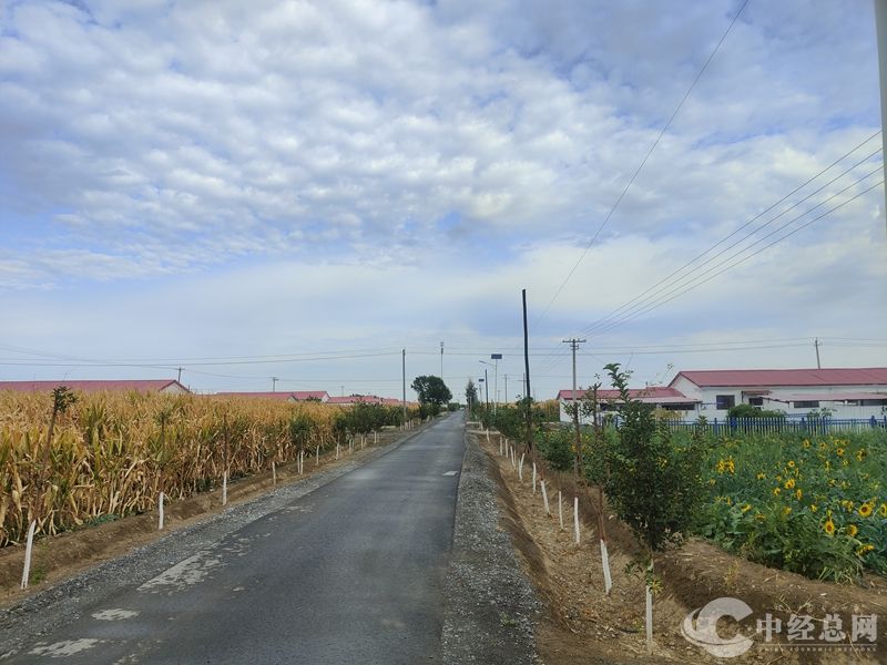 1719896332316558.jpg 08_副本.jpg