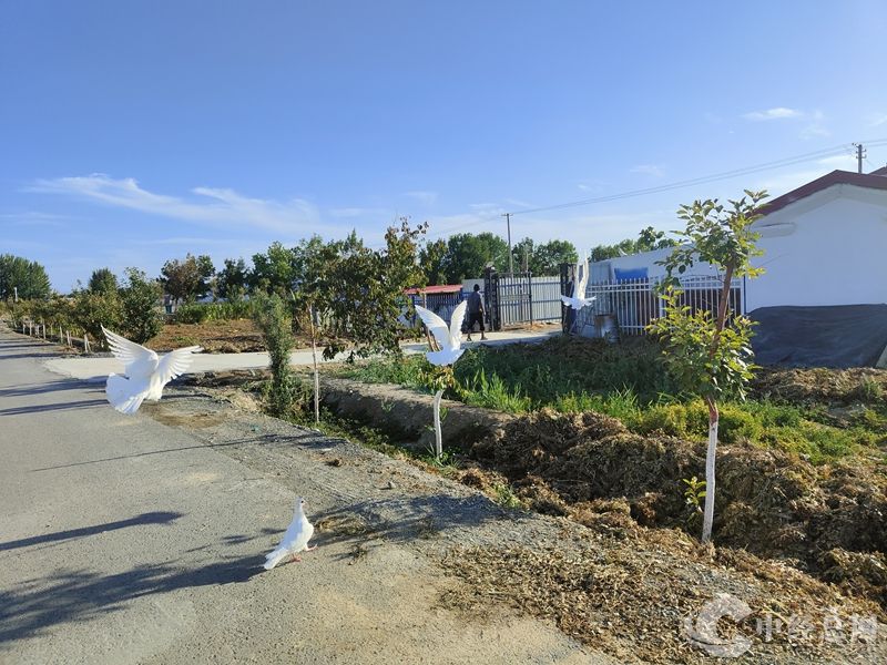 1719896348157978.jpg 09_副本.jpg