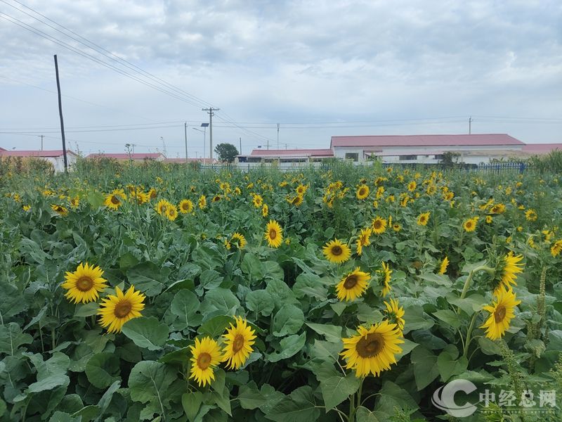 1719896370435714.jpg 010_副本.jpg