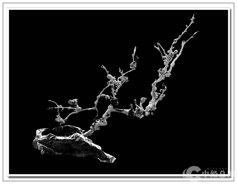 1737384795649278.jpg 1737378403359_副本1.jpg