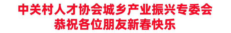 国际院士中心 祝新年快乐.jpg