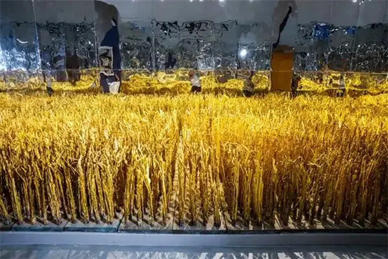 8_副本.jpg