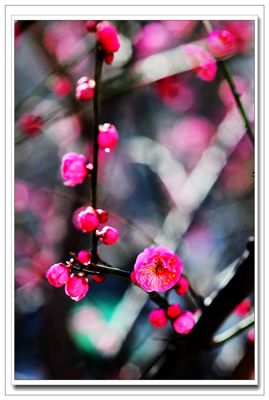 1739149788649546.jpg 6_副本.jpg