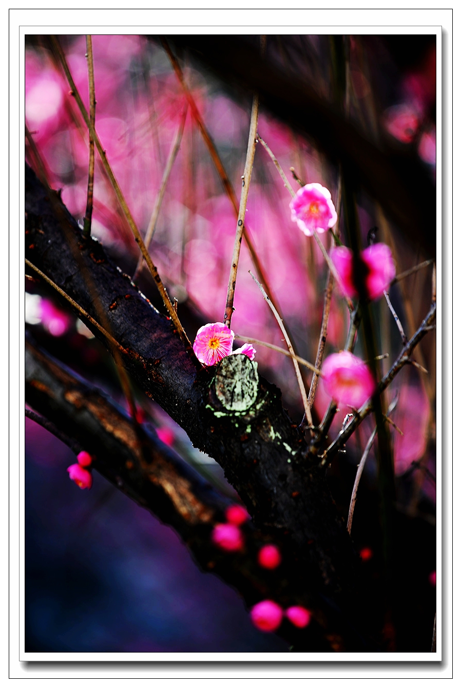 1739149848160916.jpg 8_副本.jpg