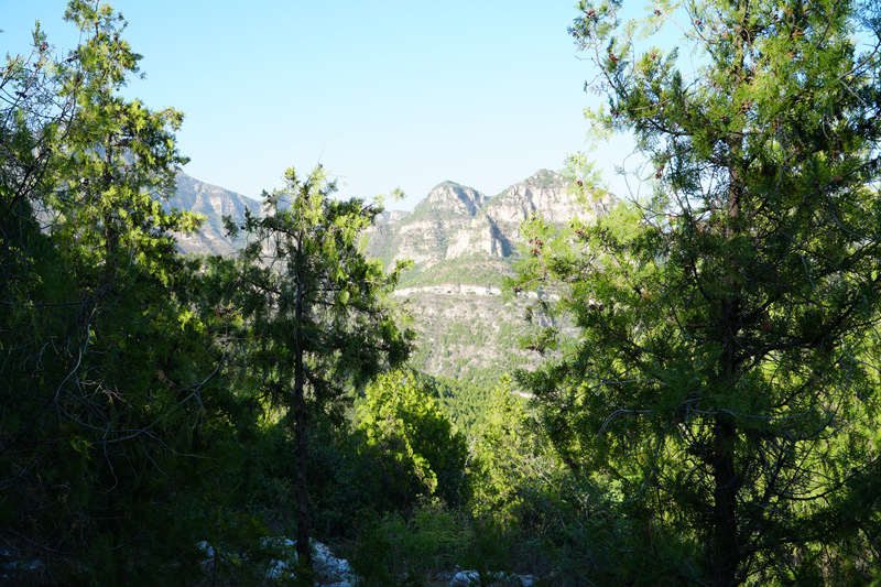 DSC00292.JPG