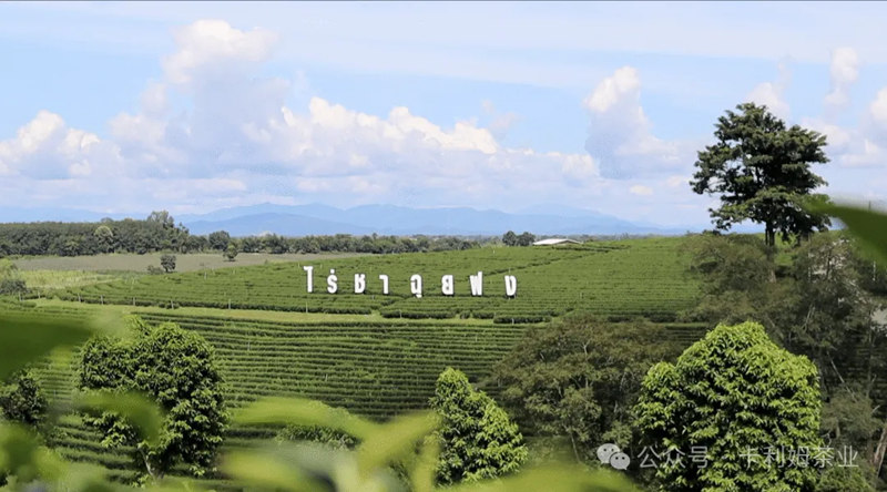 1752755745651774.jpg 3_副本.jpg