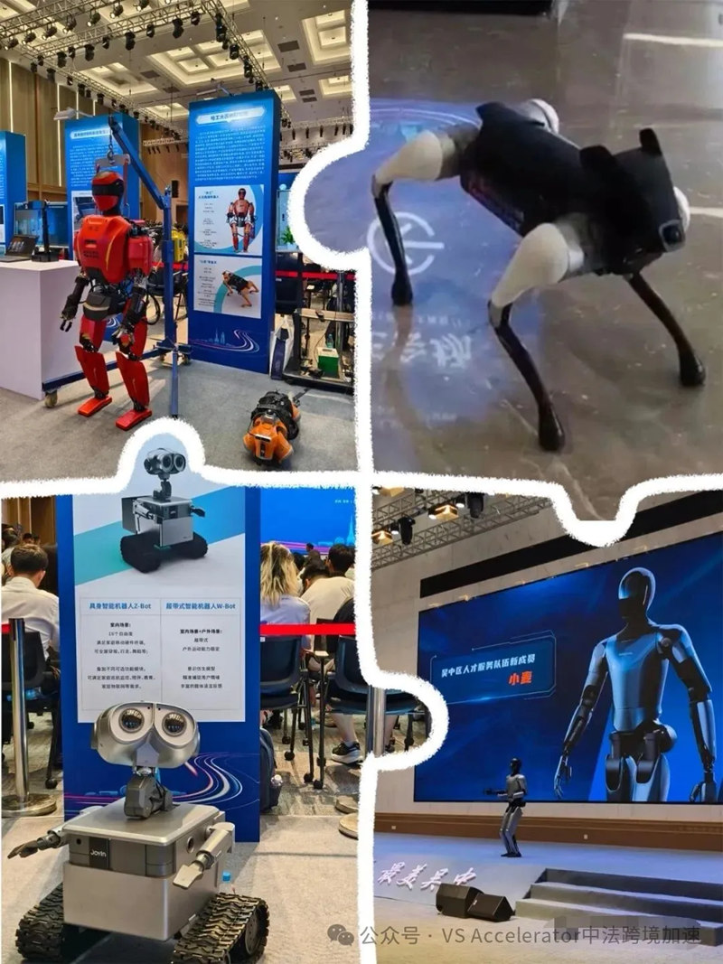 1753111289224434.jpg 3_副本.jpg