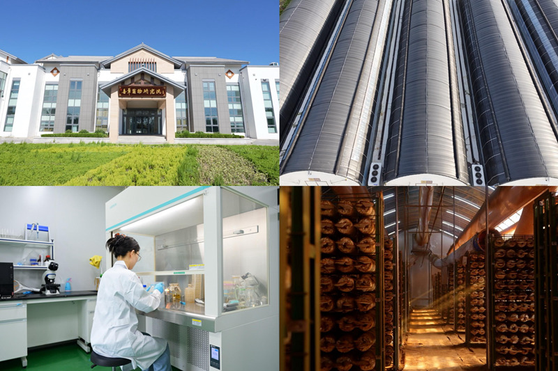 1753776993107012.jpg 图片5.jpg