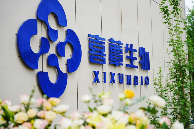 1753777174574578.jpg 图片10.jpg