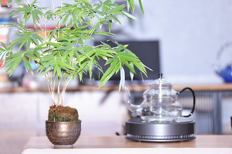 1753930606637602.jpg 2O2A7649.JPG