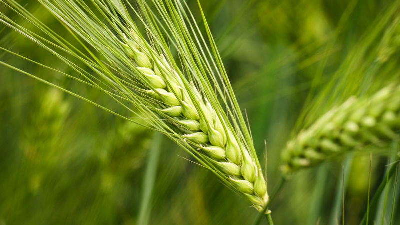 2025-07-21 083037.jpg