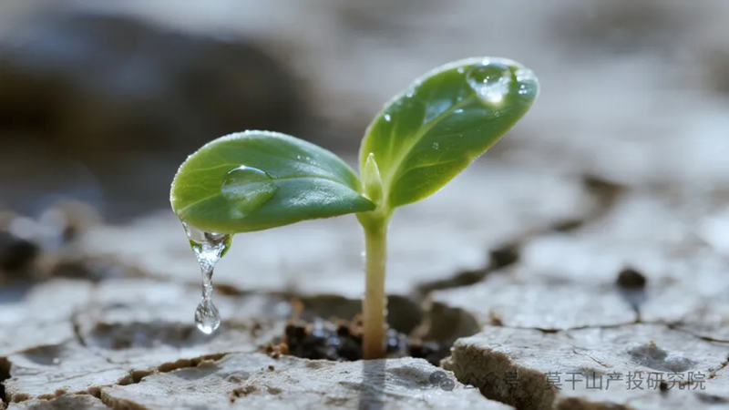 1755833979922174.jpg 1_副本.jpg