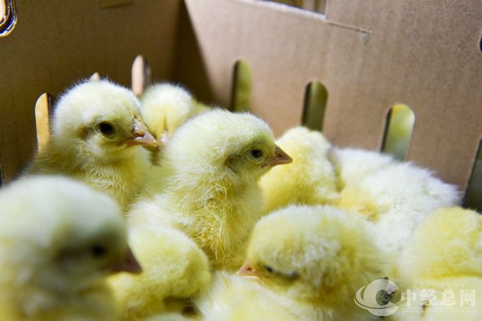 1756344217722373.jpg 微信图片_2025-08-28_091609_505.jpg