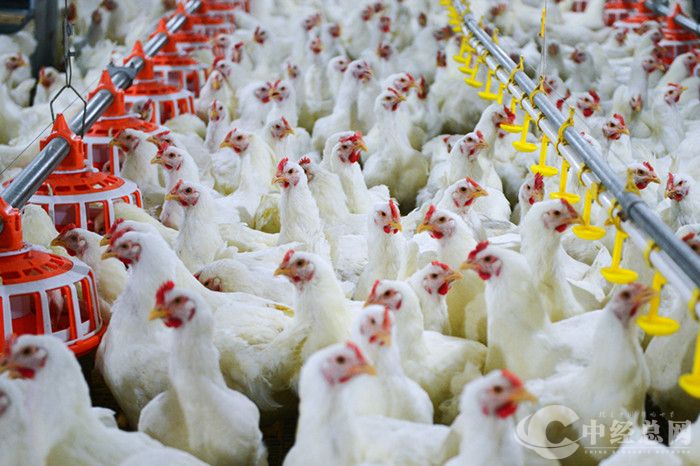 1756344238907641.jpg 微信图片_2025-08-28_091600_732.jpg