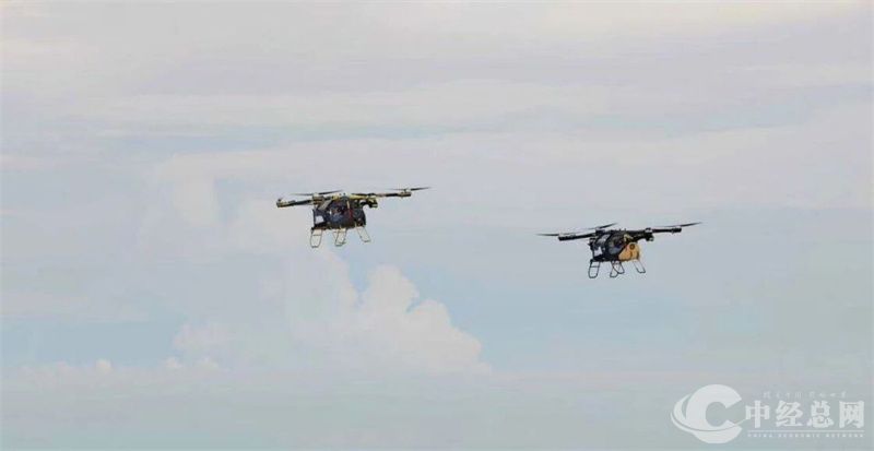 1758196885436267.jpg 小鹏.jpg