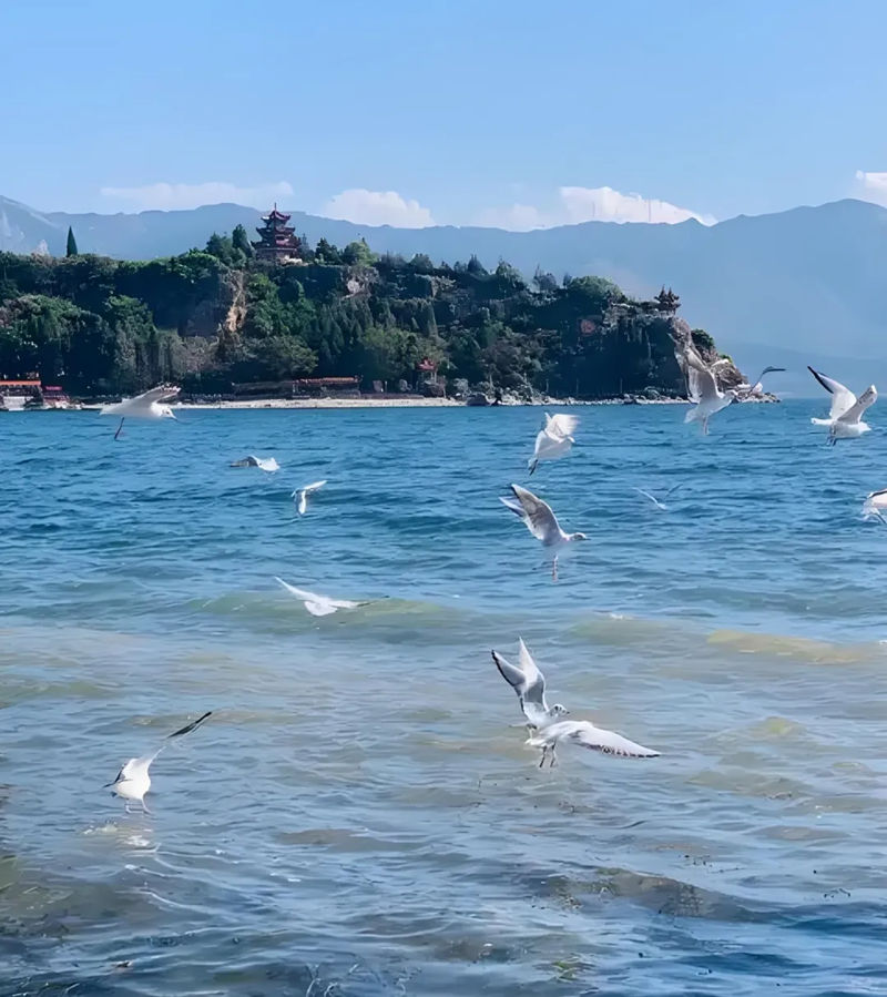 1760274192471388.jpg 5_副本.jpg