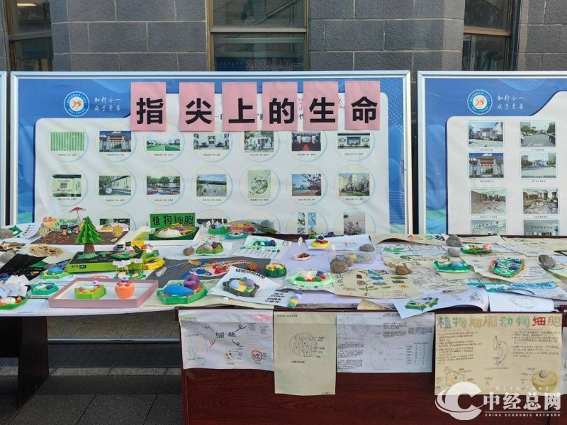 1760346138186528.jpg 1.jpg