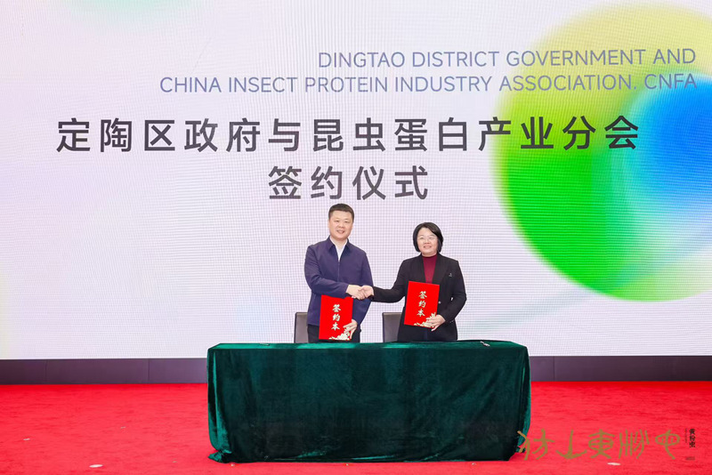 1763118797141688.jpg 4.jpg