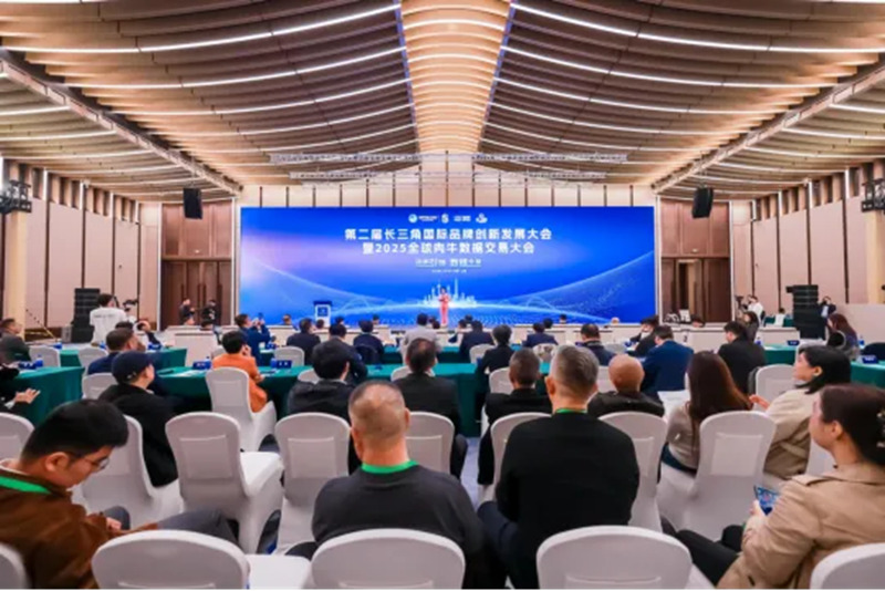 1763125842643594.jpg 1_副本.jpg