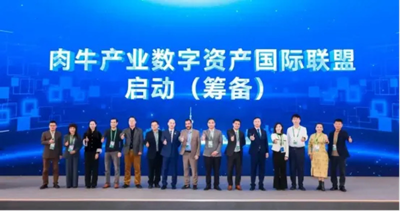 1763125935682515.jpg 12_副本.jpg