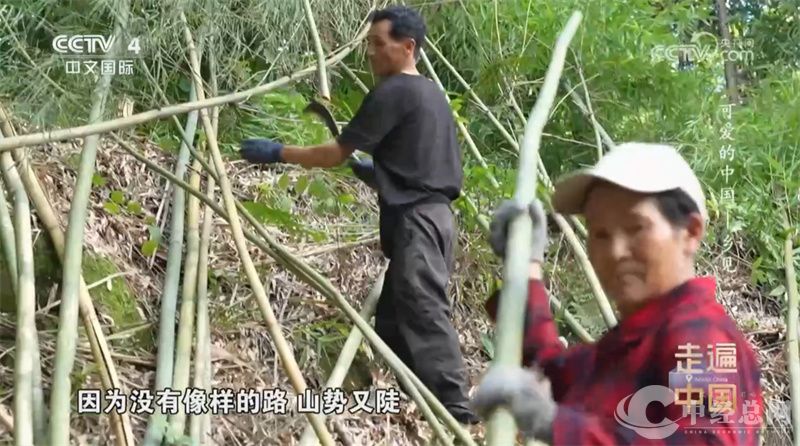 1763911079899417.jpg 微信图片_20251123230828_30_3.jpg