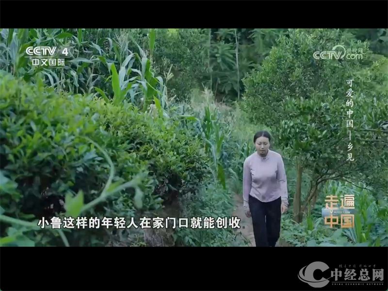 1763911219540896.jpg 微信图片_20251123230941_33_3.jpg