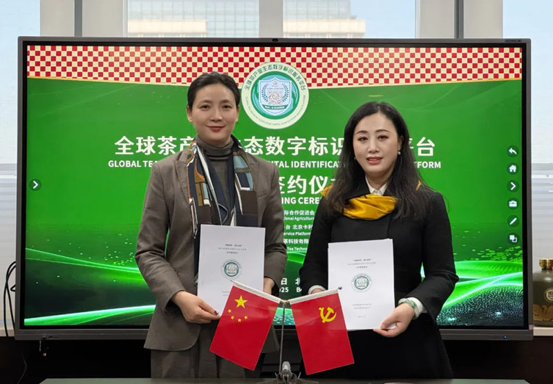 1765859979405650.jpg 5_副本.jpg