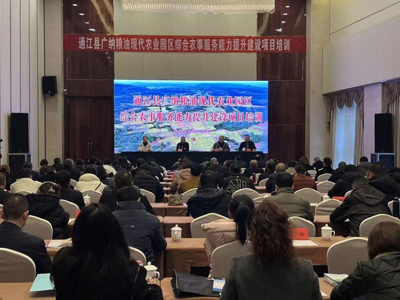 1767158540710008.jpg 图片6.jpg