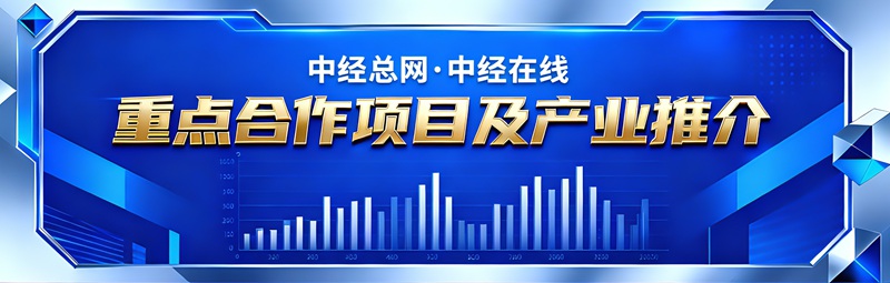 中经总网重点产业项目合作推介_副本.jpg