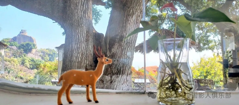 1770476656776653.jpg 6_副本.jpg