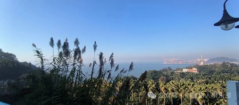 1770476672871228.jpg 8_副本.jpg