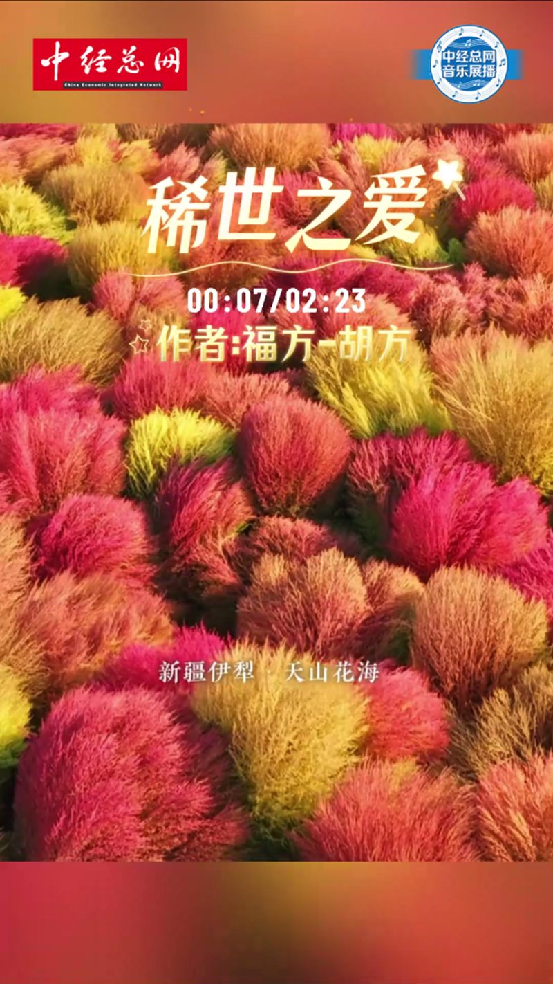 1771638715128172.jpg 1_副本.jpg