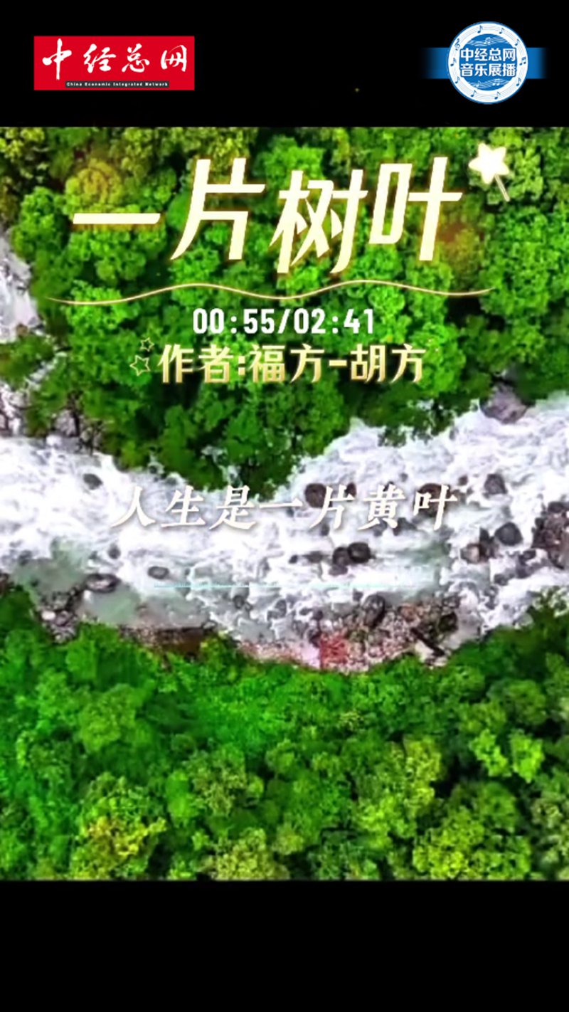 1771820917336589.jpg 1_副本.jpg