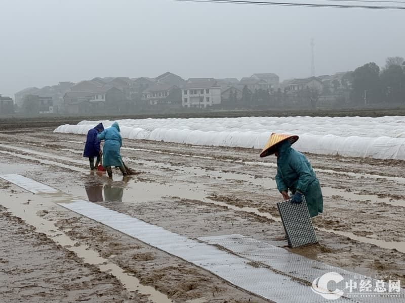 1773285579830911.jpg 1.jpg