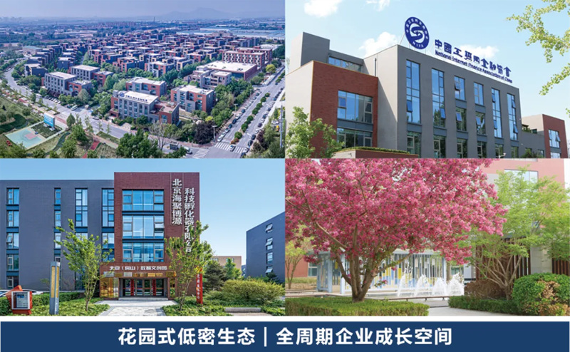 1783479593128464.jpg 12_副本.jpg