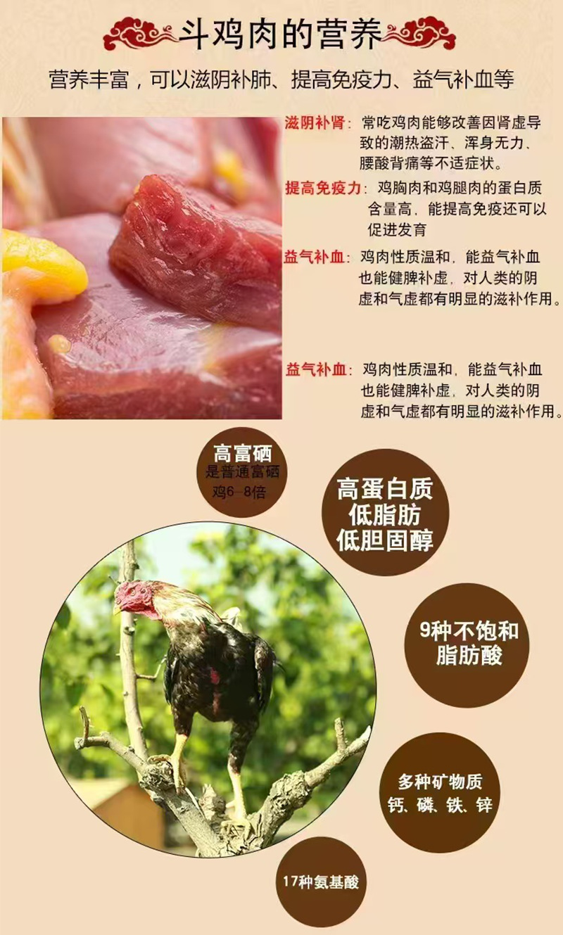 1785511986234531.jpg 图片10.jpg