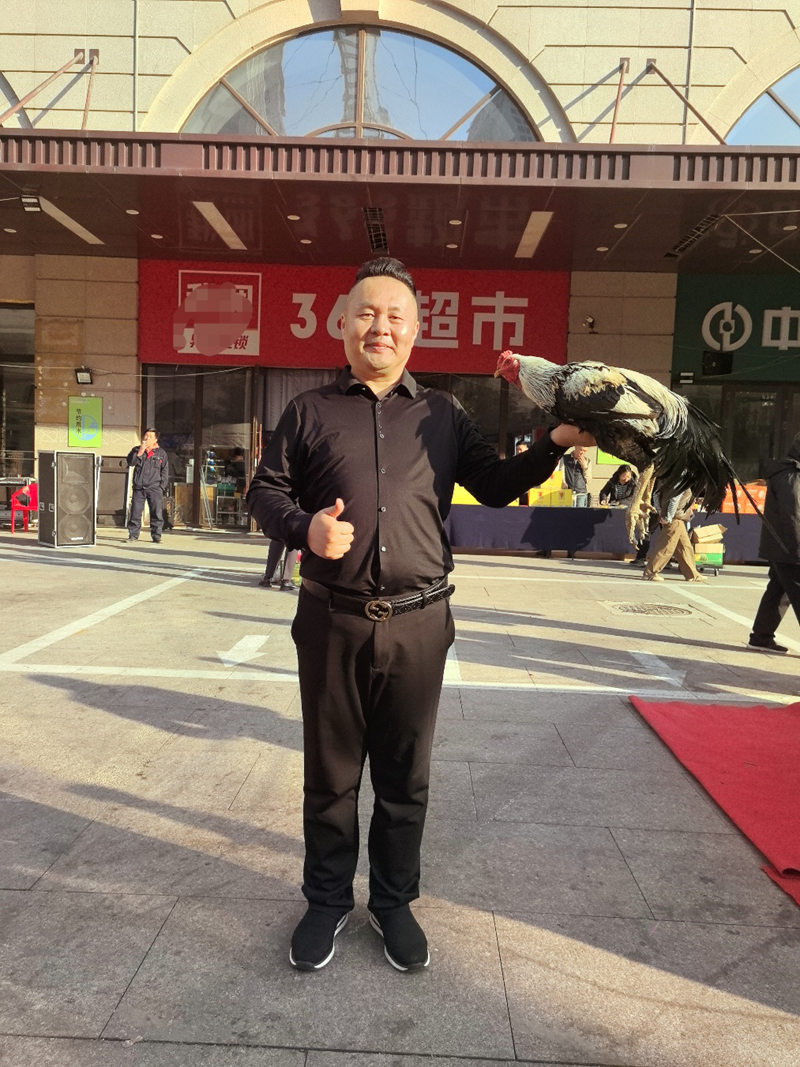 图片12.jpg