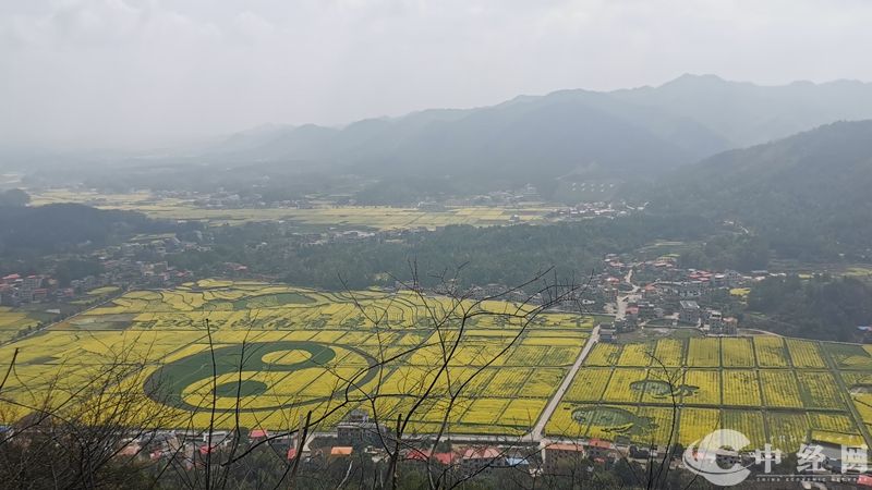 微信图片_20230312202032.jpg