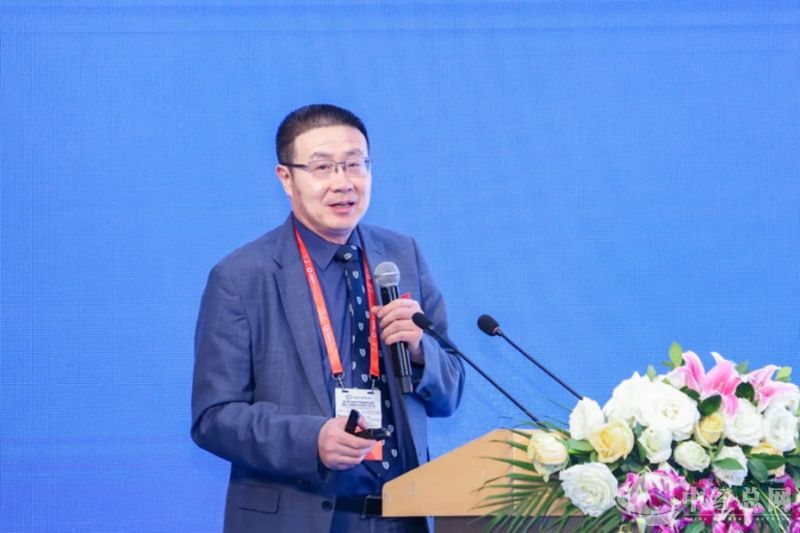 图片31_副本.jpg