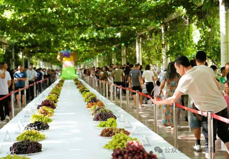 图片6.jpg